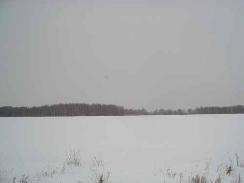 поселок Новогуровский